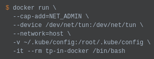 Running in a Docker container