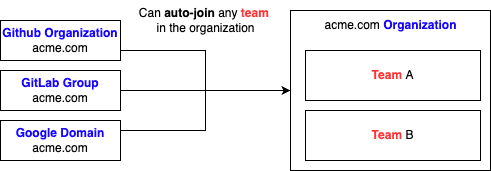 The organization model